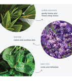 Dermalogica Special Cleansing Gel (16.9 oz)