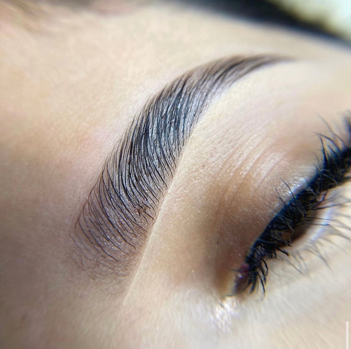 Shape & Laminate Brows The Color Room Hair Salon